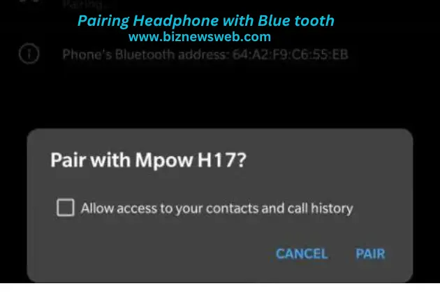 Pairing Bluetooth Option