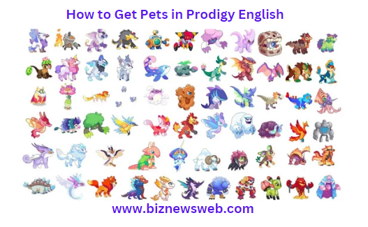 How to Get Pets in Prodigy English